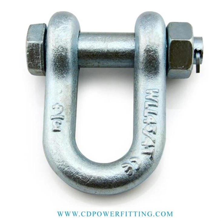 Anchor u shackle